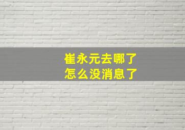 崔永元去哪了 怎么没消息了